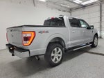 2023 F-150 Thumbnail 3