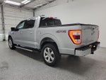 2023 F-150 Thumbnail 4