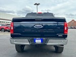 2023 F-150 Thumbnail 15