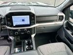 2023 F-150 Thumbnail 20