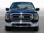 2023 F-150 Thumbnail 4