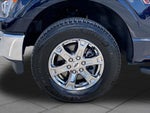 2023 F-150 Thumbnail 11