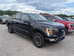 2023 F-150 Thumbnail 2