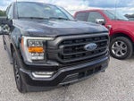 2023 F-150 Thumbnail 3