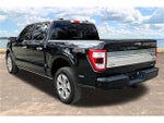 2023 F-150 Thumbnail 4