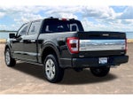 2023 F-150 Thumbnail 5
