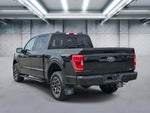 2023 F-150 Thumbnail 5