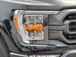 2023 F-150 Thumbnail 8