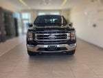 2023 F-150 Thumbnail 5
