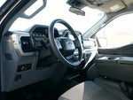 2023 F-150 Thumbnail 14