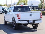 2023 F-150 Thumbnail 6