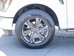 2023 F-150 Thumbnail 9