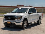 2023 F-150 Thumbnail 4
