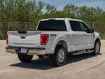 2023 F-150 Thumbnail 8
