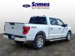 2023 F-150 Thumbnail 3