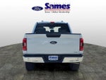 2023 F-150 Thumbnail 4