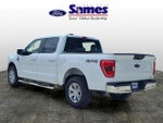 2023 F-150 Thumbnail 5
