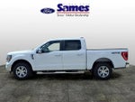 2023 F-150 Thumbnail 6