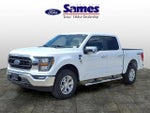 2023 F-150 Thumbnail 7