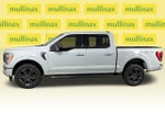 2023 F-150 Thumbnail 11