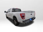 2023 F-150 Thumbnail 5