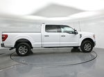 2023 F-150 Thumbnail 22