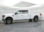 2023 F-150 Thumbnail 25