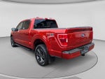 2023 F-150 Thumbnail 3