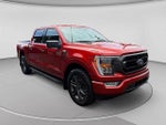 2023 F-150 Thumbnail 7
