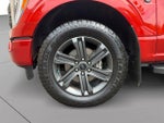 2023 F-150 Thumbnail 9