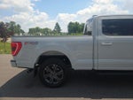 2023 F-150 Thumbnail 7