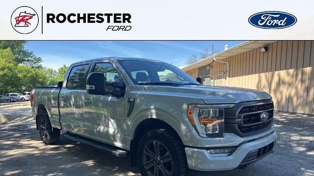 Preowned 2023 Ford F-150 Platinum for Sale