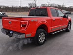 2023 F-150 Thumbnail 16