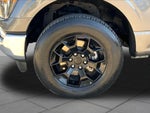2023 F-150 Thumbnail 14
