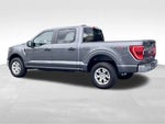 2023 F-150 Thumbnail 9