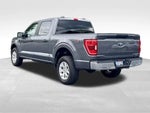 2023 F-150 Thumbnail 10