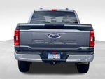 2023 F-150 Thumbnail 12