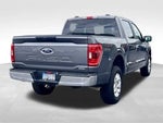 2023 F-150 Thumbnail 13