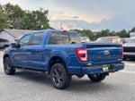 2023 F-150 Thumbnail 6