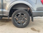 2023 F-150 Thumbnail 6