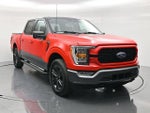 2023 F-150 Thumbnail 3