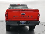2023 F-150 Thumbnail 6