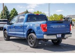 2023 F-150 Thumbnail 5
