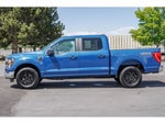 2023 F-150 Thumbnail 6