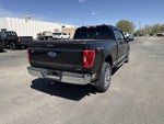 2023 F-150 Thumbnail 5