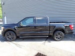 2023 F-150 Thumbnail 2