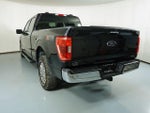 2023 F-150 Thumbnail 5