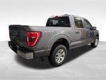 2023 F-150 Thumbnail 4