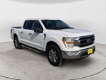 2023 F-150 Thumbnail 3