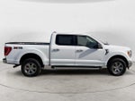 2023 F-150 Thumbnail 4